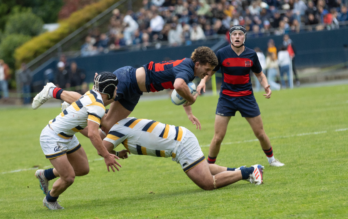 Men's rugby player Erich Storti leaps over Cal defenders, 2024
