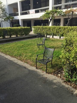 chairs on lawn