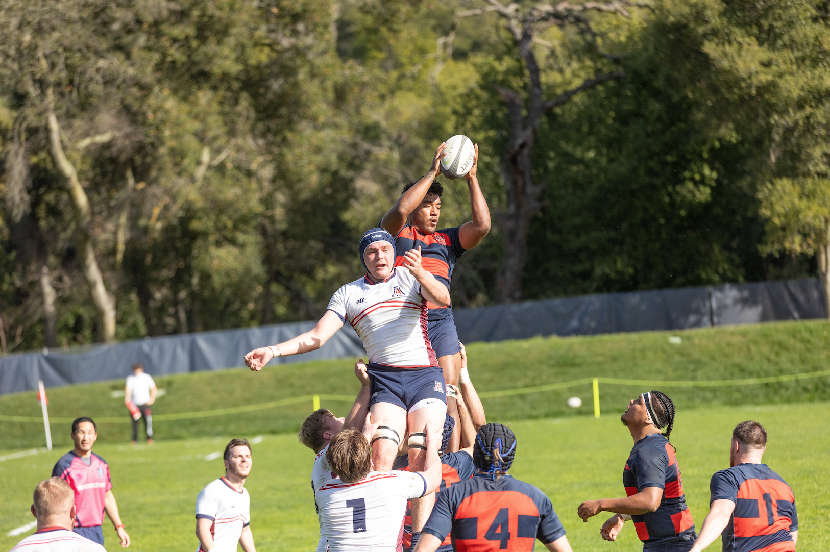 Men's Rugby player catches the ball from a line out