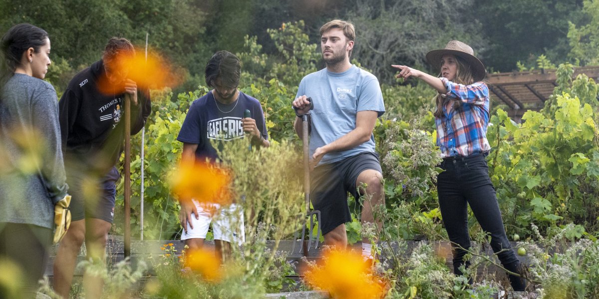 Four students and Sustainability Director Ann Drevno in the Legacy Garden in 2022