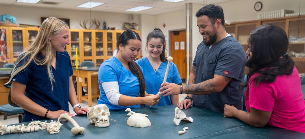 Science students studying the anatomy of bones from a skeleton