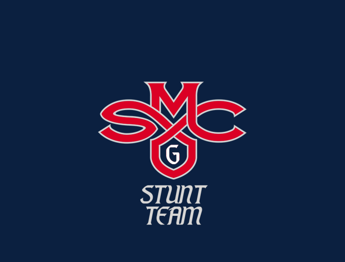STUNT logo 