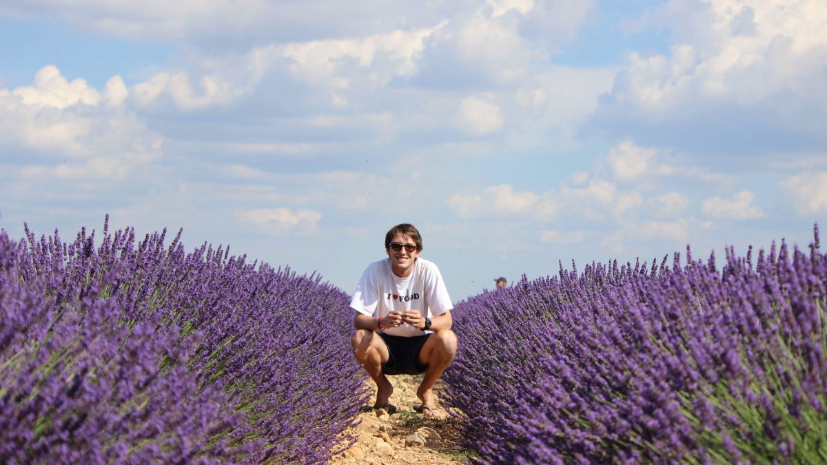 SMC Student in Aix (Lavender Fields)