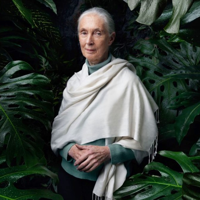 Jane Goodall in a white shawl