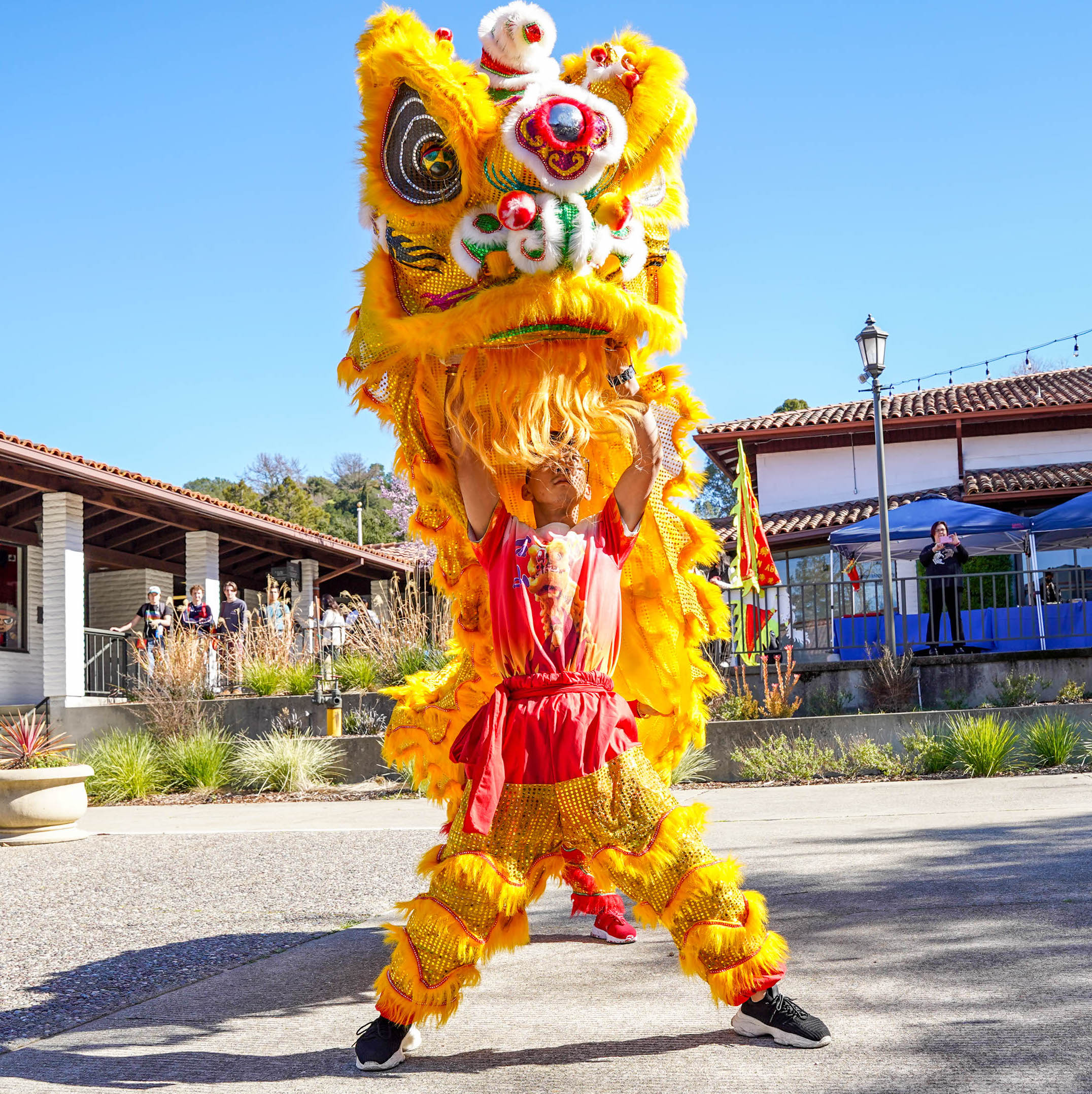 Lunar New Year Dragon