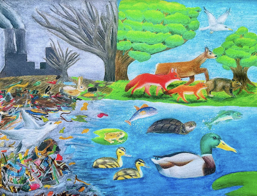 row winning artwork