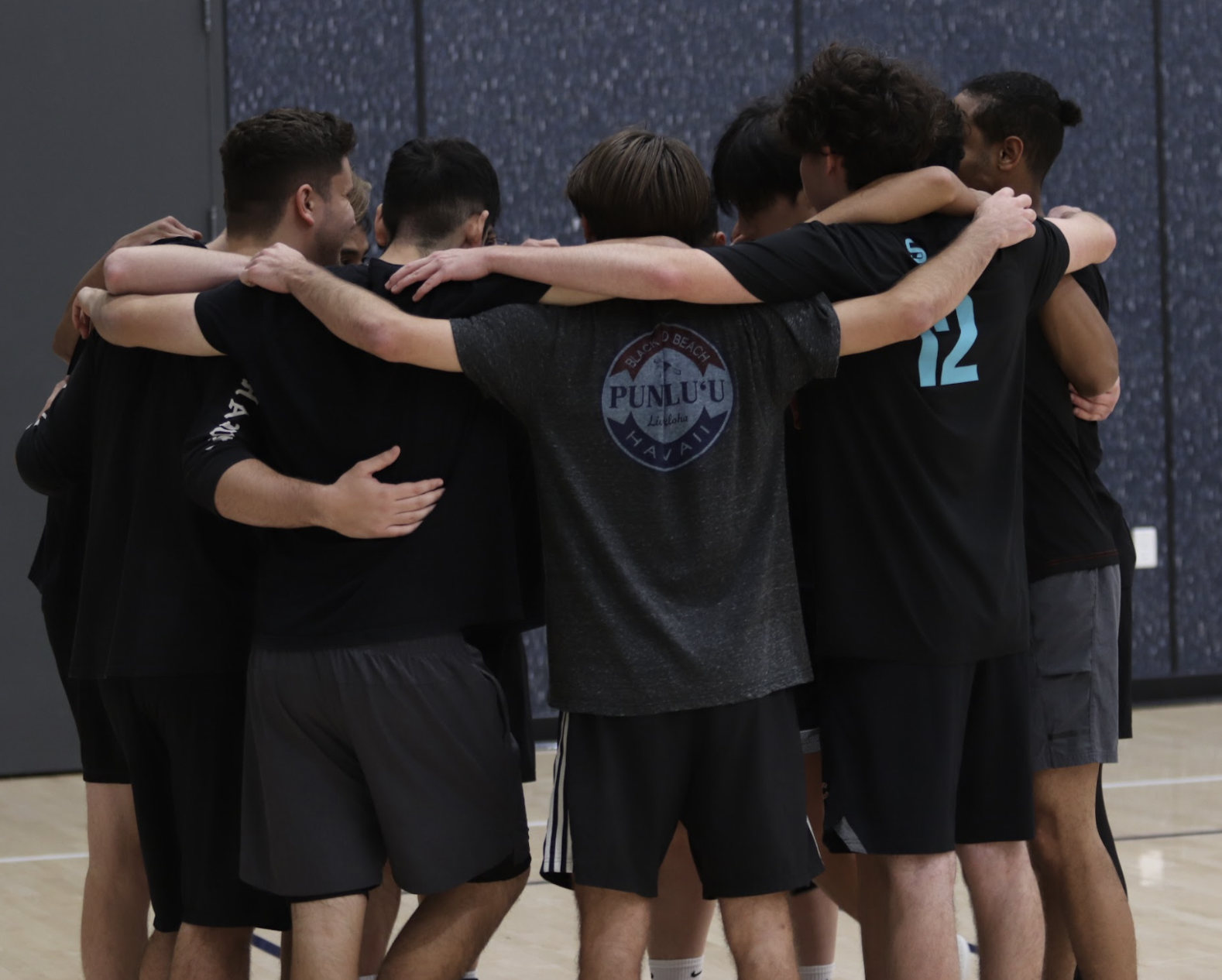 Men's Volleyball Team