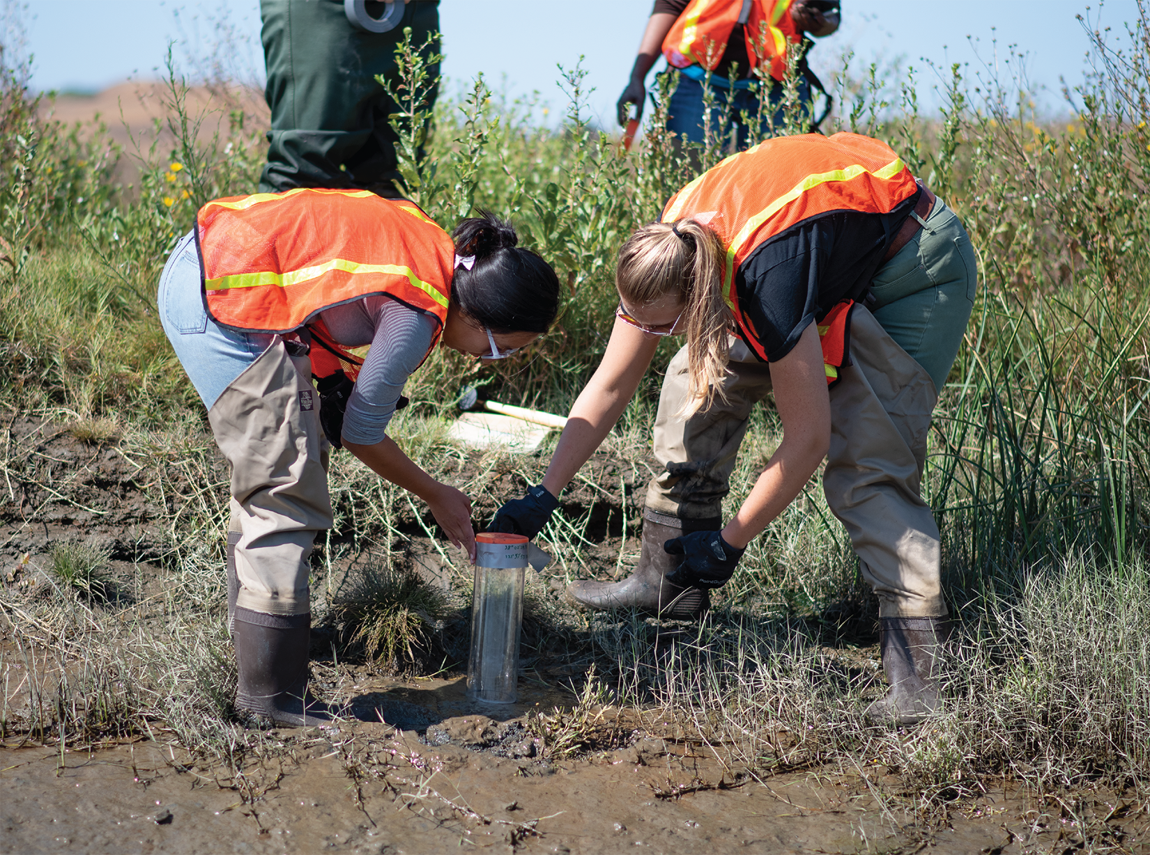 Two SMC students doing experiments in coastal wetlands