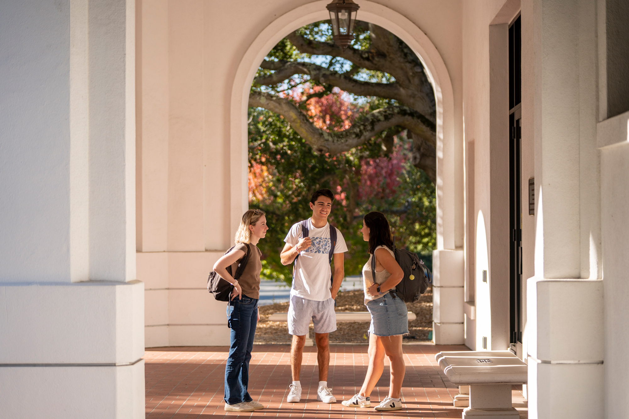 Students talking together on campus