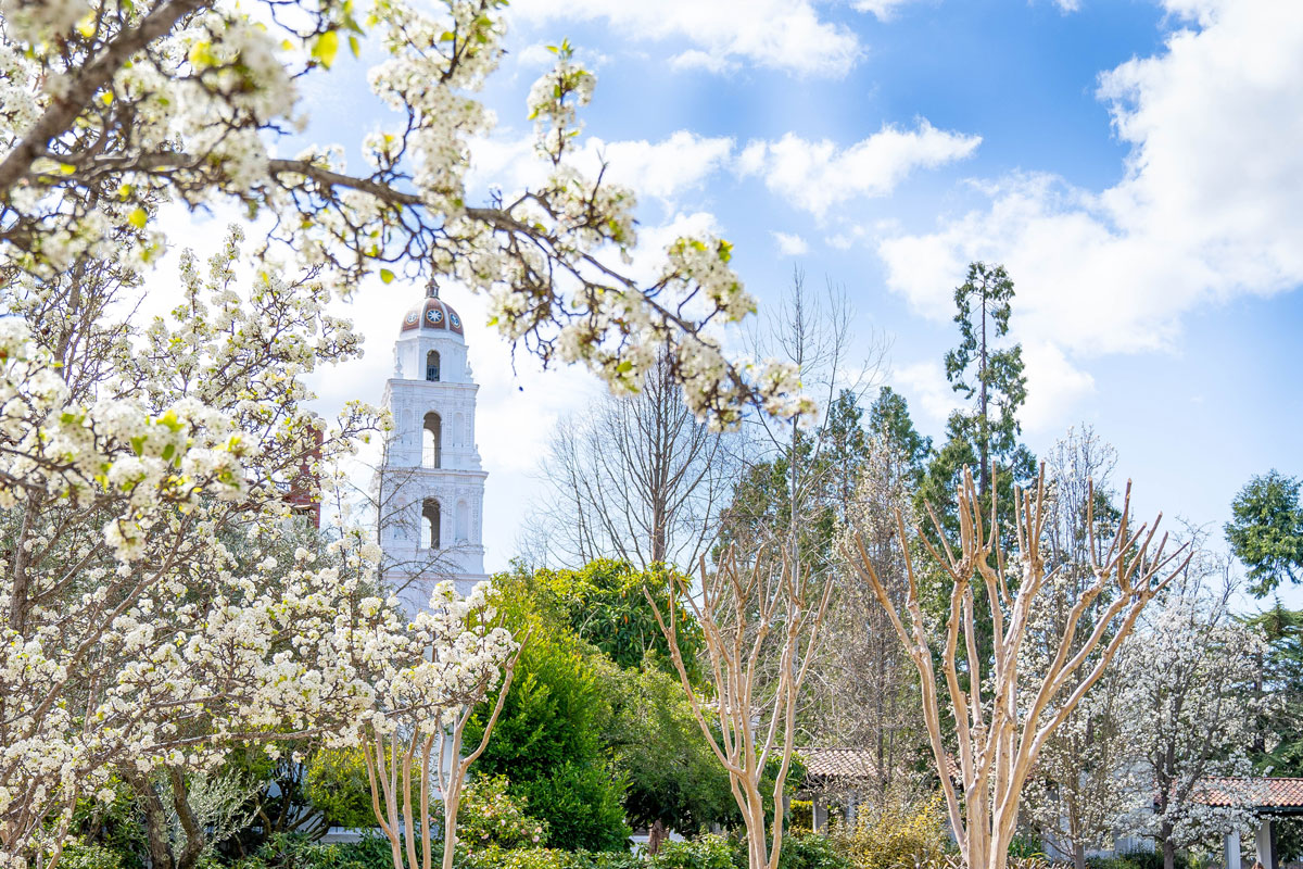 Saint Mary's College Campus in the Spring