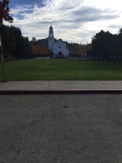 lawn and concrete