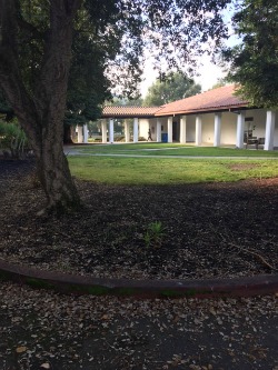 lawn in shadow