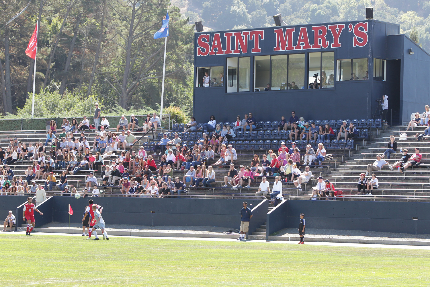 fans at outdoor stadium watching soccer on sunny day