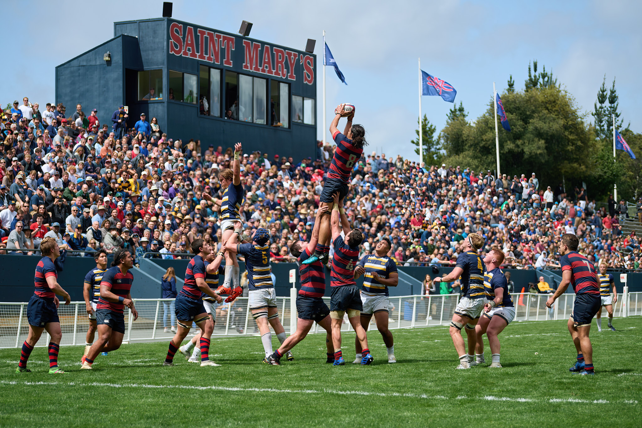 Mens Rugby Saint Marys College