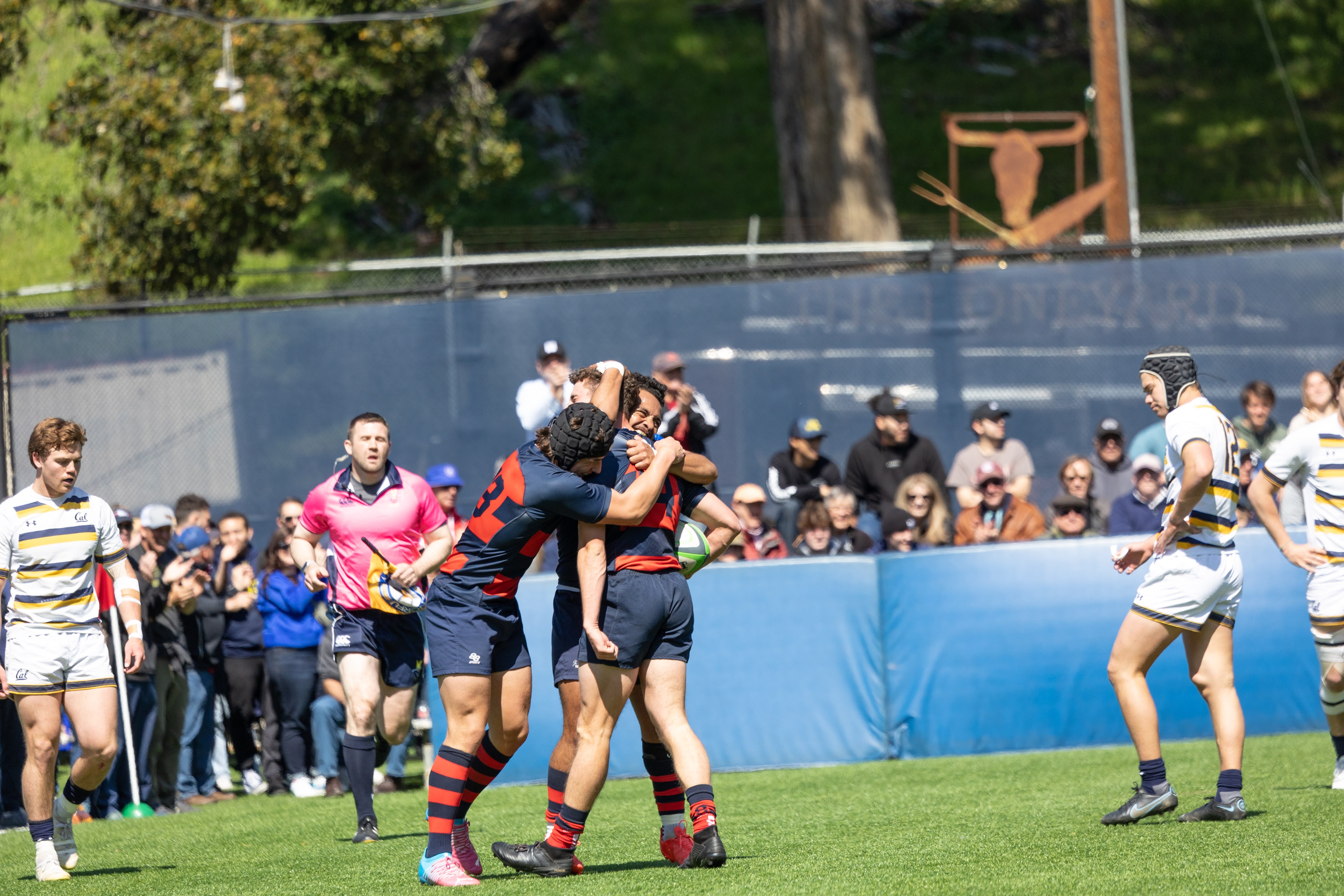 Men's Rugby Players celebrate after a score