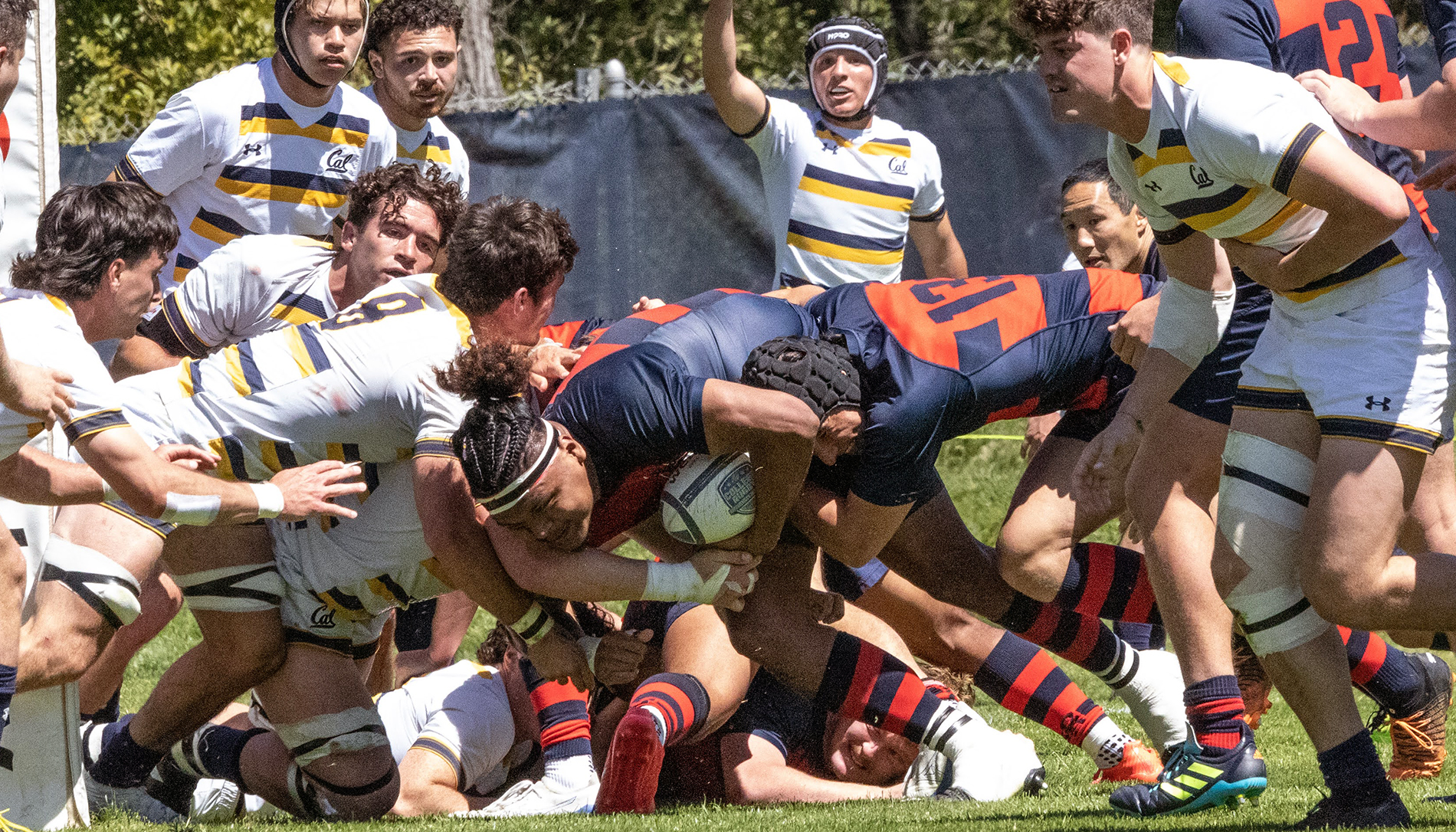 Men's Rugby player King Matu tries to advance the ball in an April 2023 playoff game against UC Berkeley