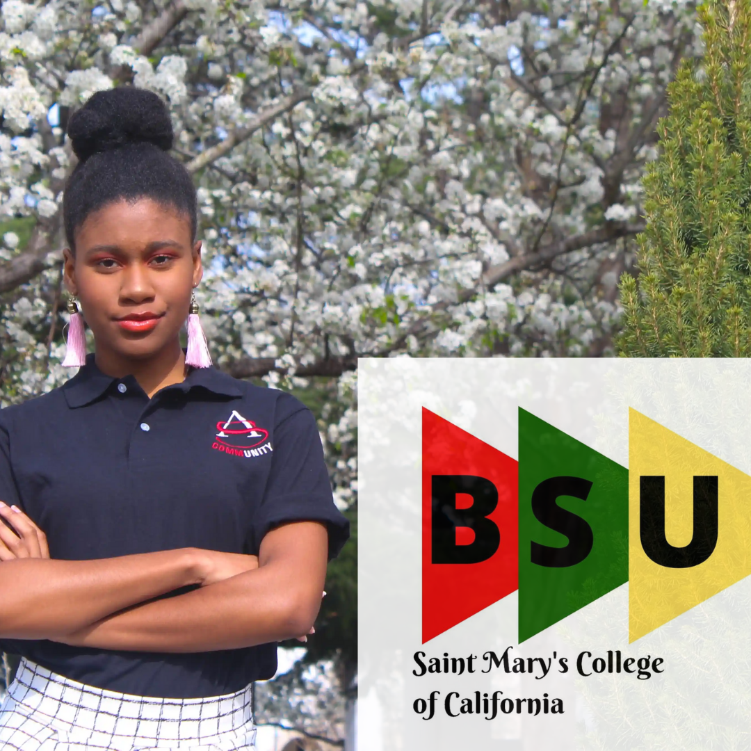 bsu profile 