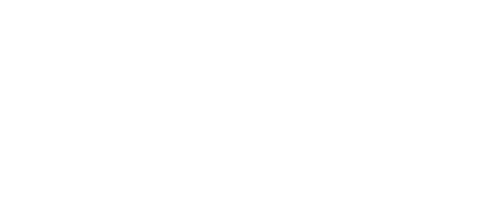 SEBA Graduate Business Programs