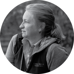 headshot of jennifer higgins of lambert bridge winery