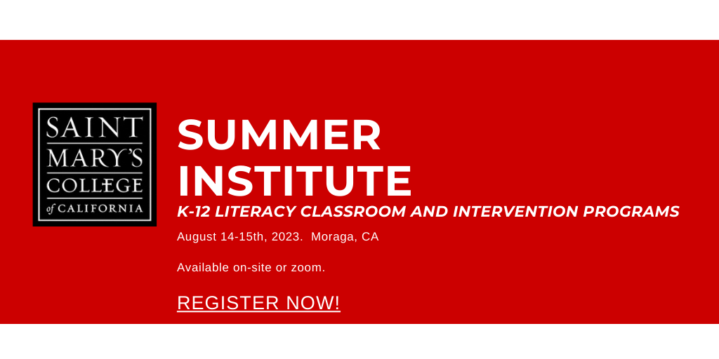 Red banner with information about the 2023 Summer Institute