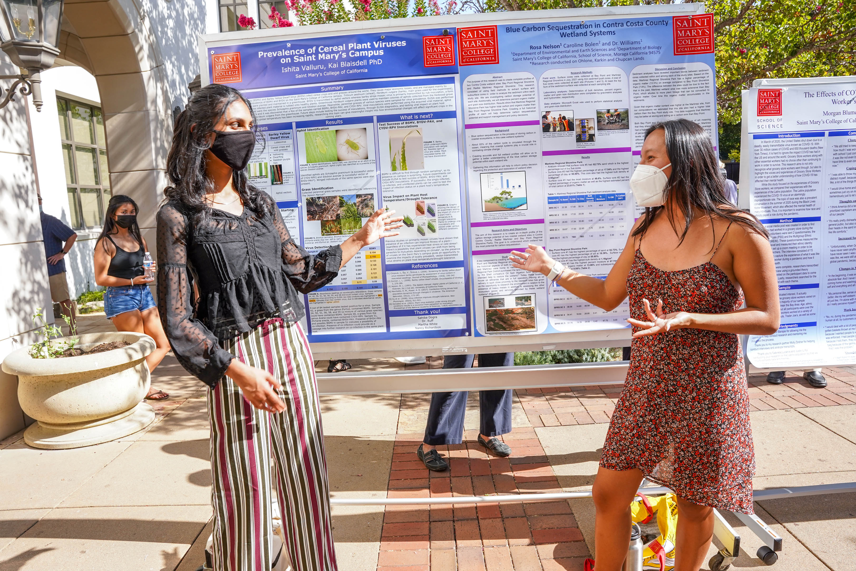 Summer Research