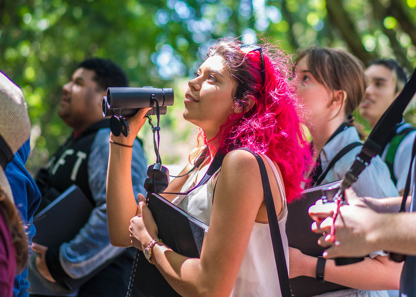 A student with pink hair bird watching in a class