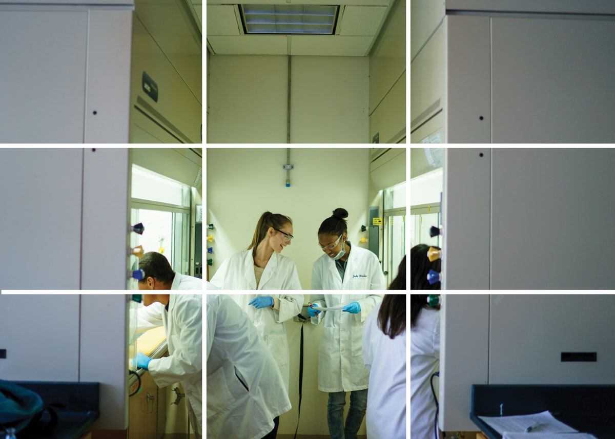 Students in a lab with a 9 cell grid on top of it