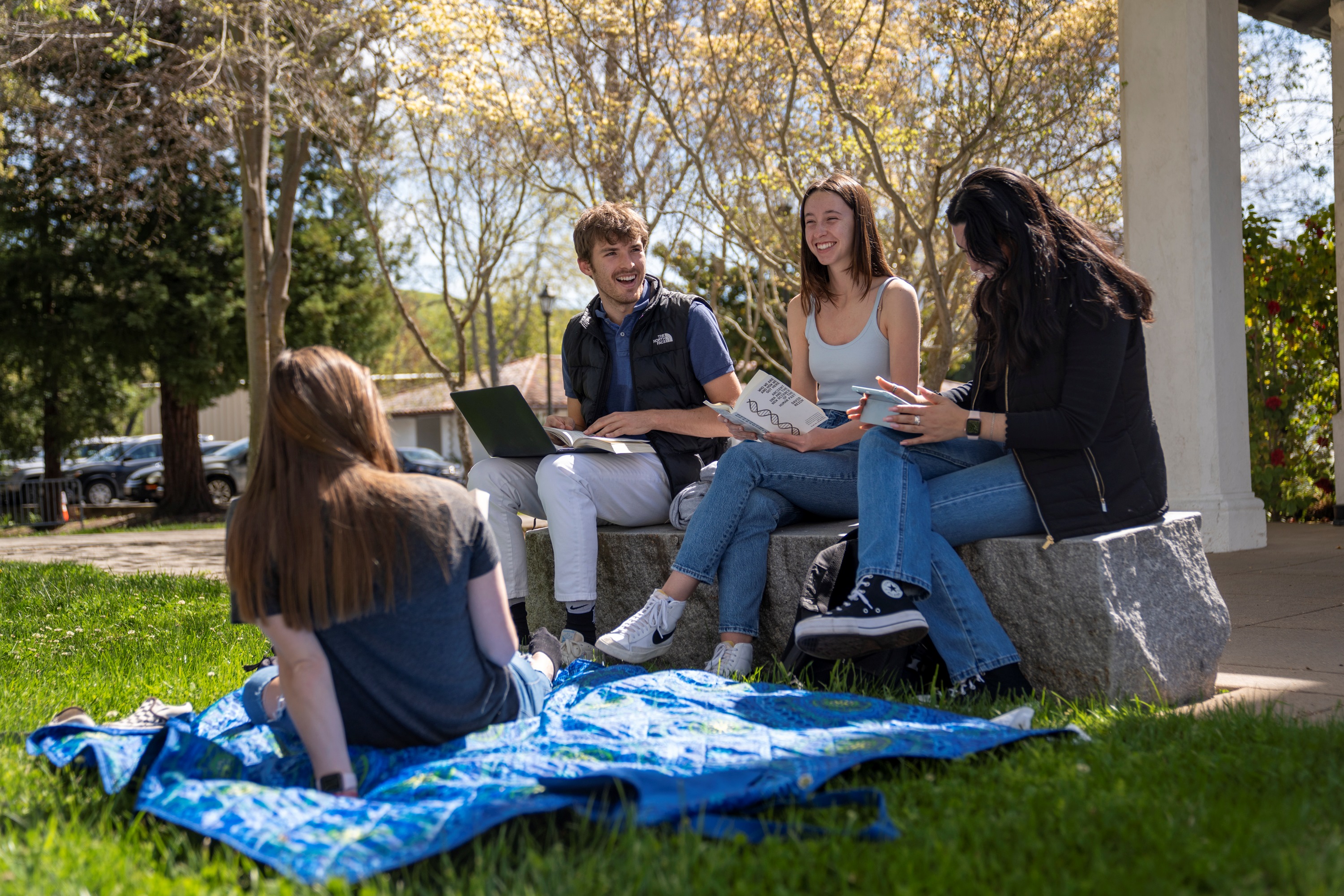 Gael students on the lawn studying