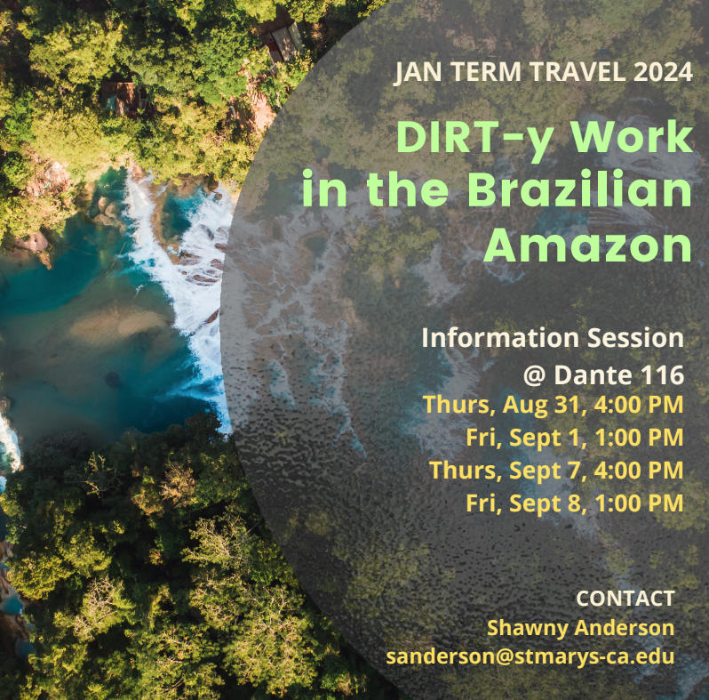 Brazil Jan Term Travel Flyer