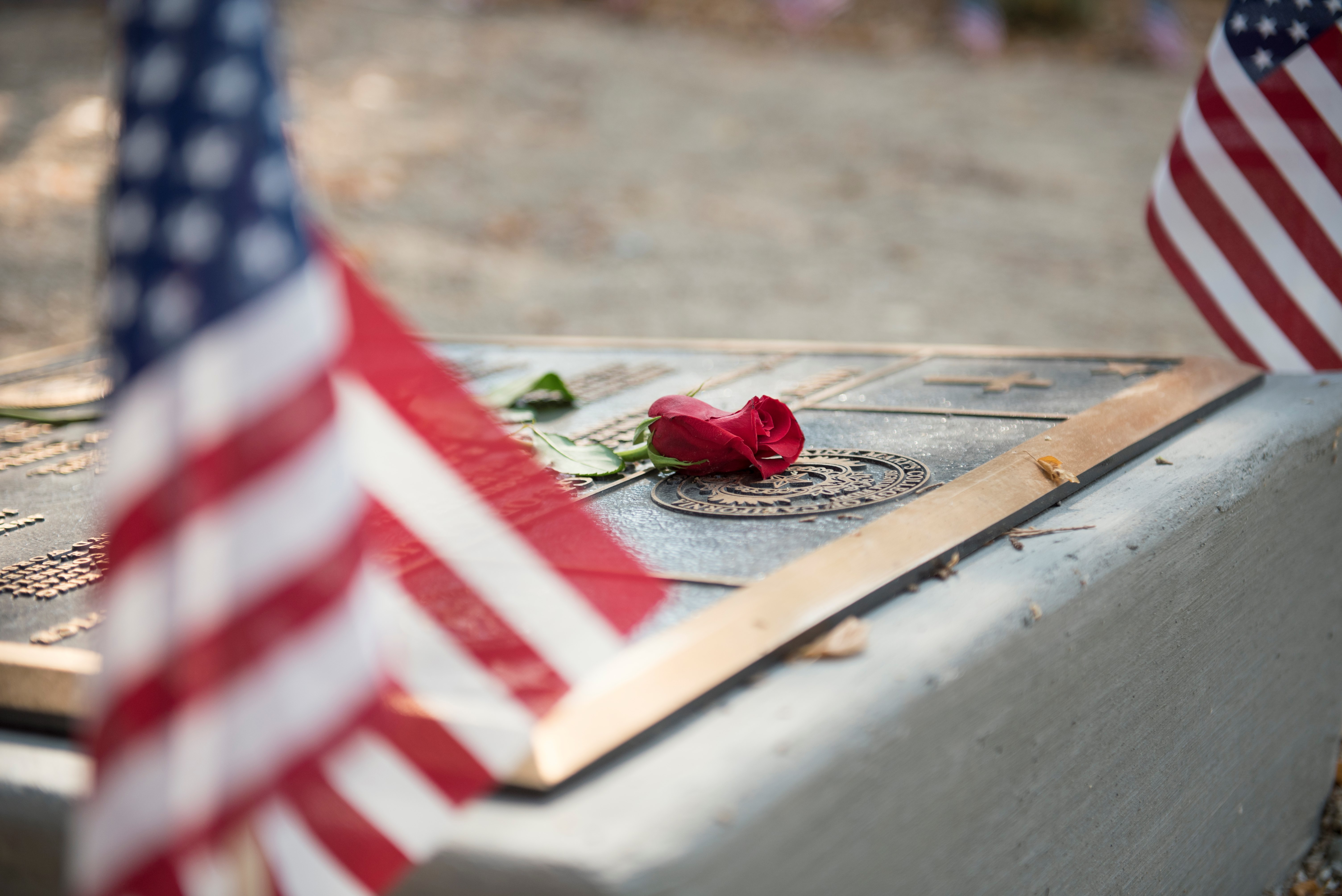 Flag and rose