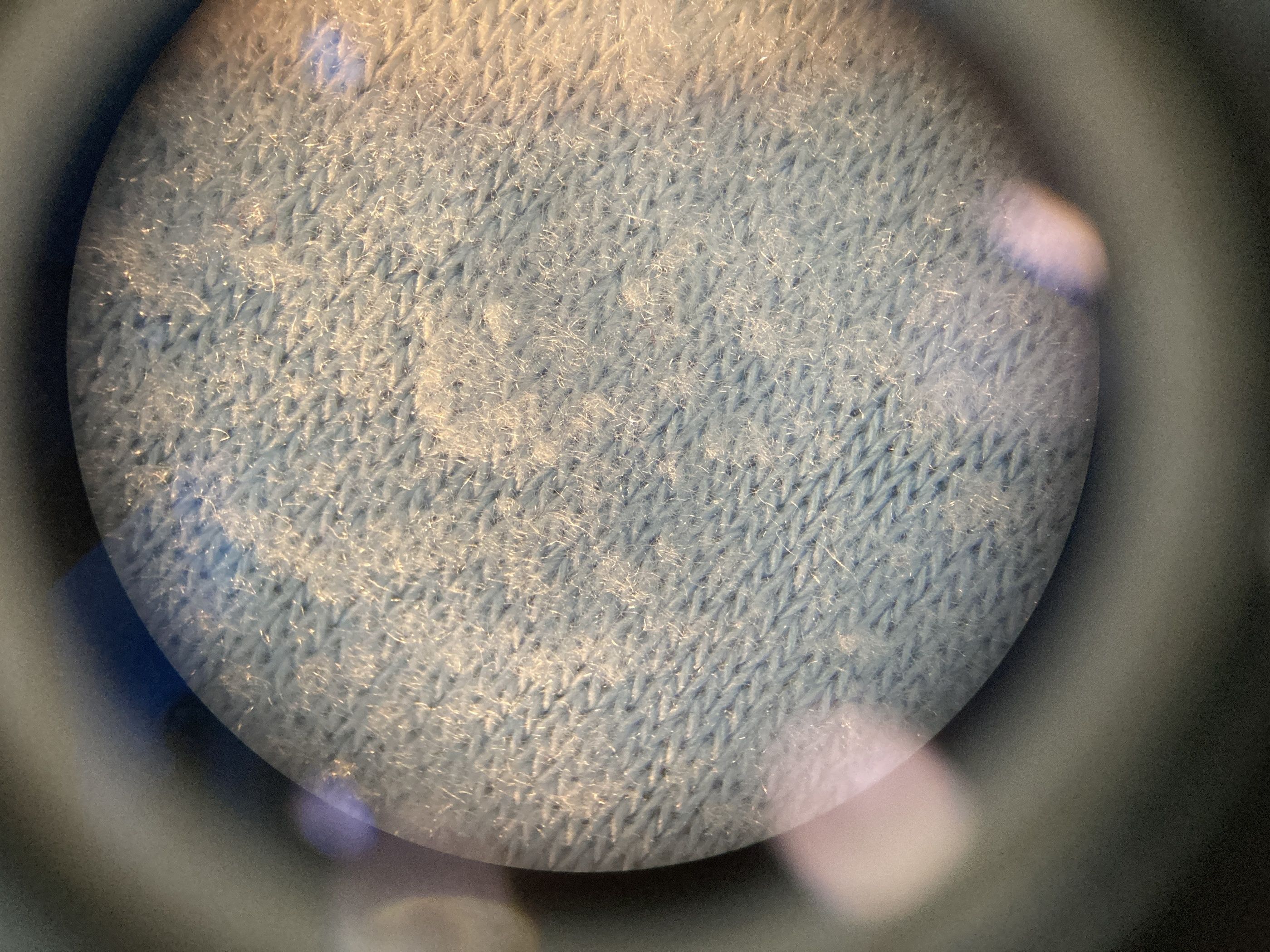 A microscopic look at Gabrielle Ly's childhood blanket