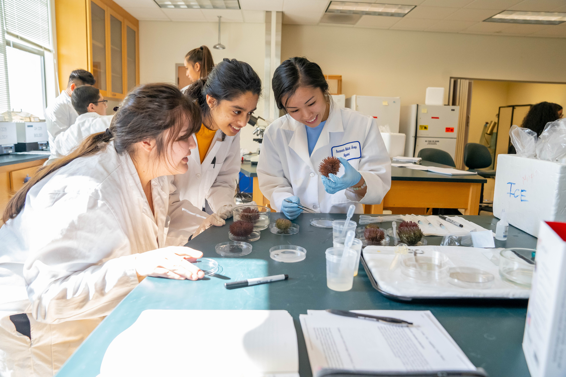 Group of science students in Dr. Chandrasekaran's lab gathered around a microscope.
