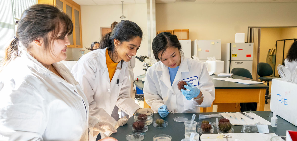 International Undergraduate students looking at a sea urchin