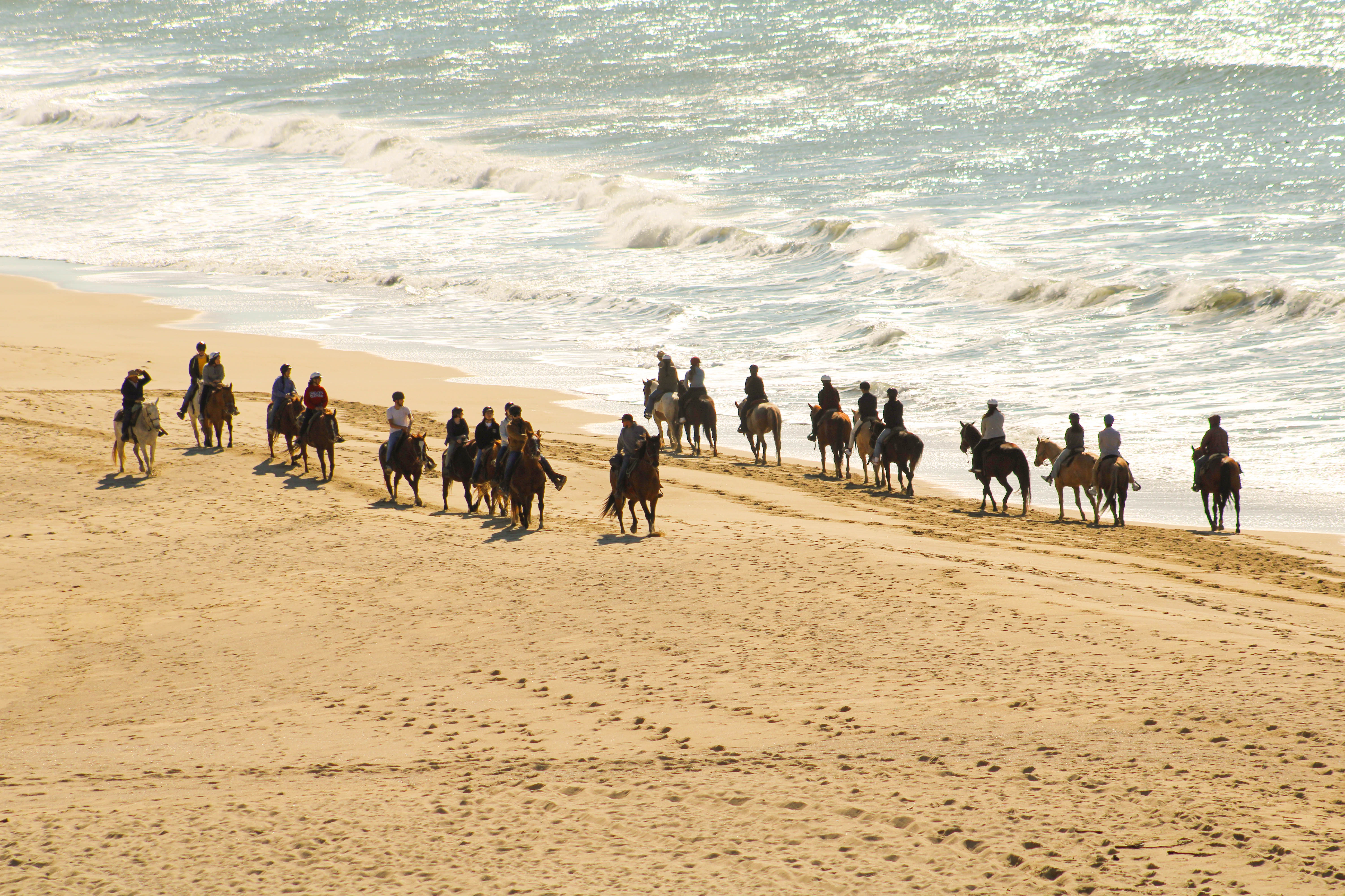 Horseback Riding at Half Moon Bay