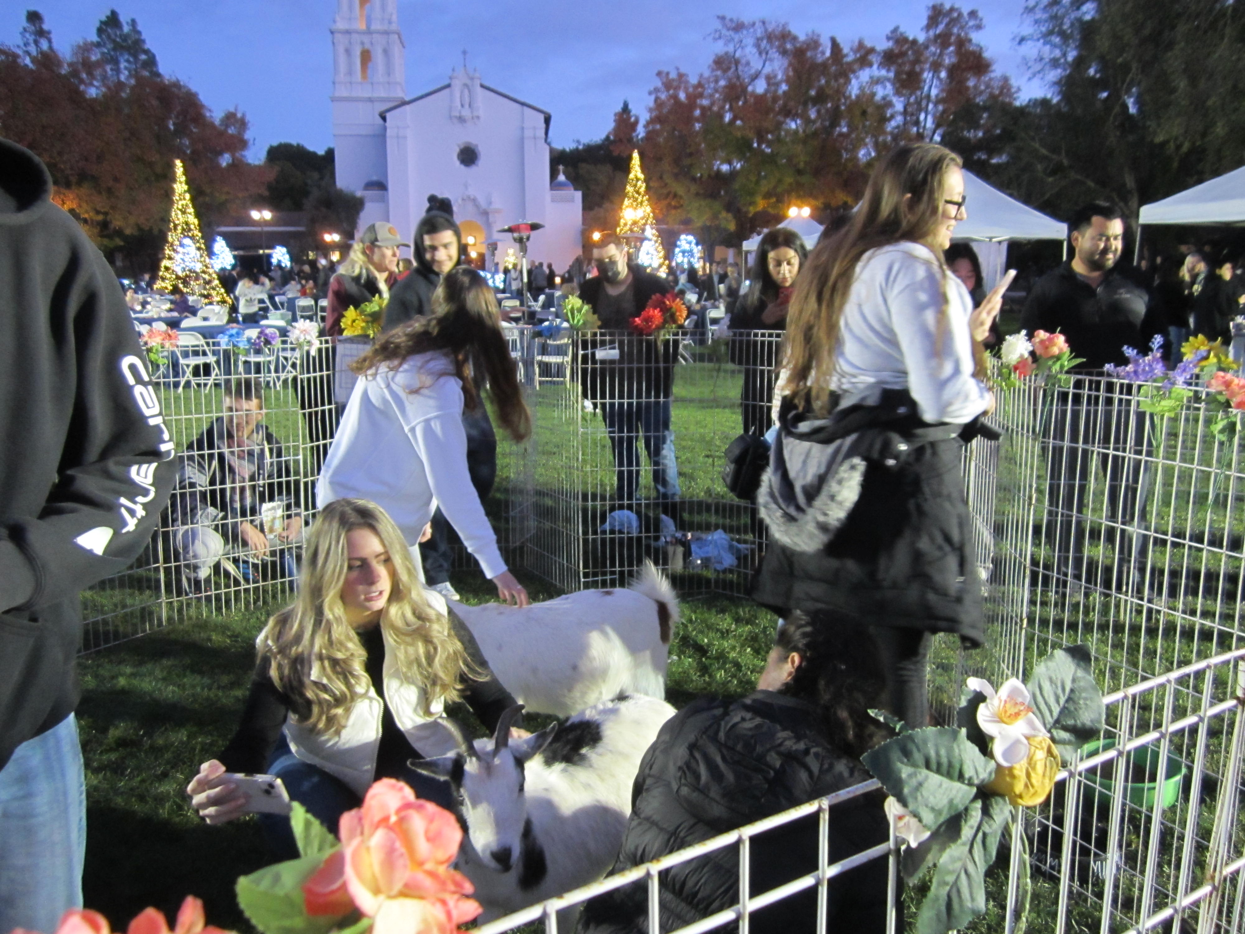 Petting Zoo at Winter Fest