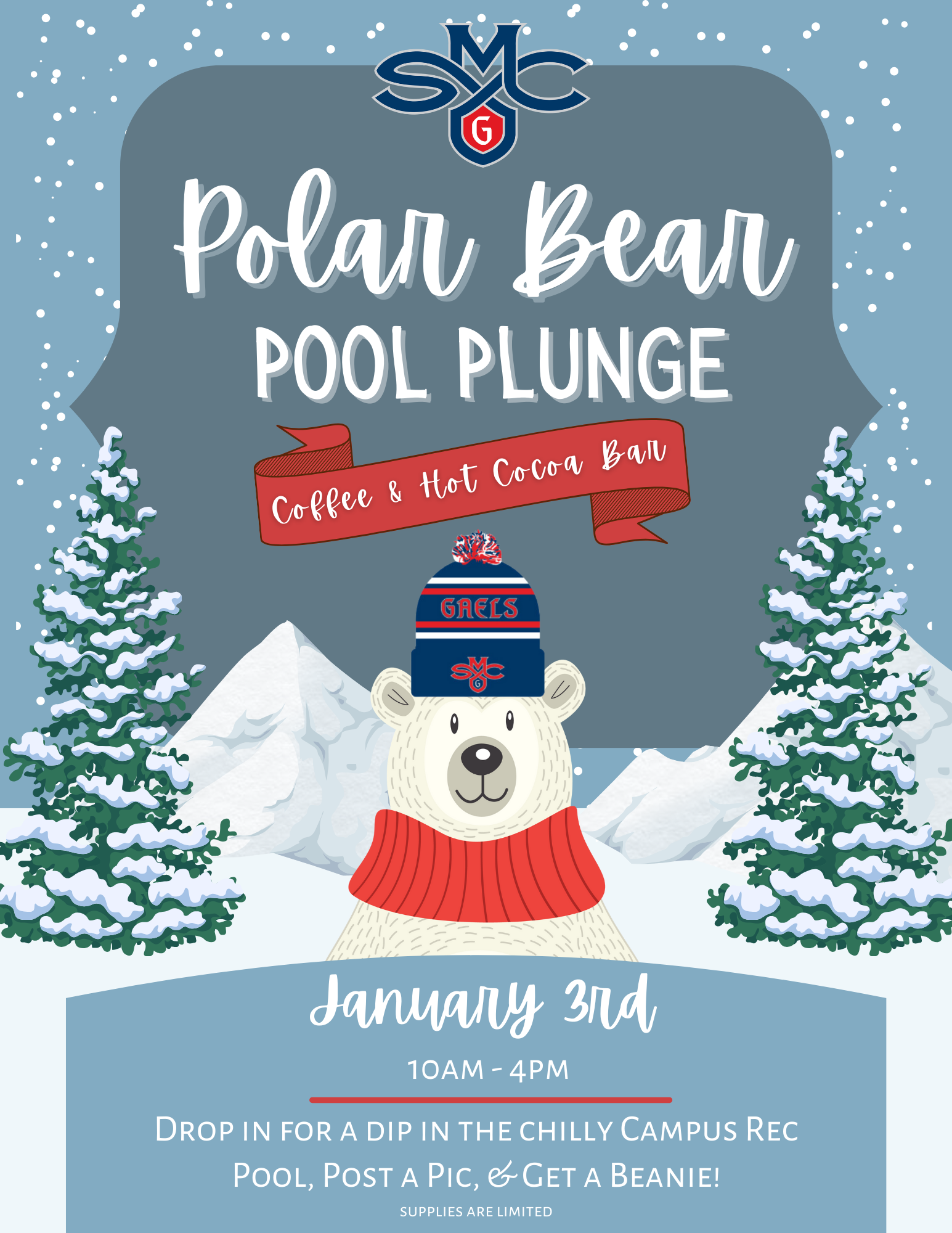 Polar Bear Pool Plunge