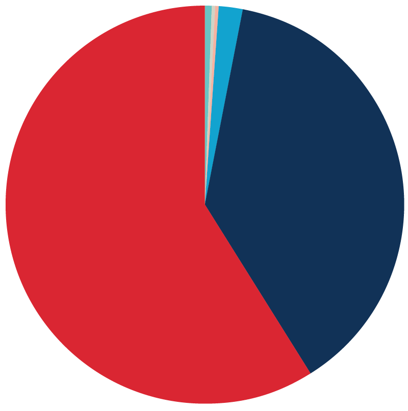 Chart showing where Saint Mary's Graduates go