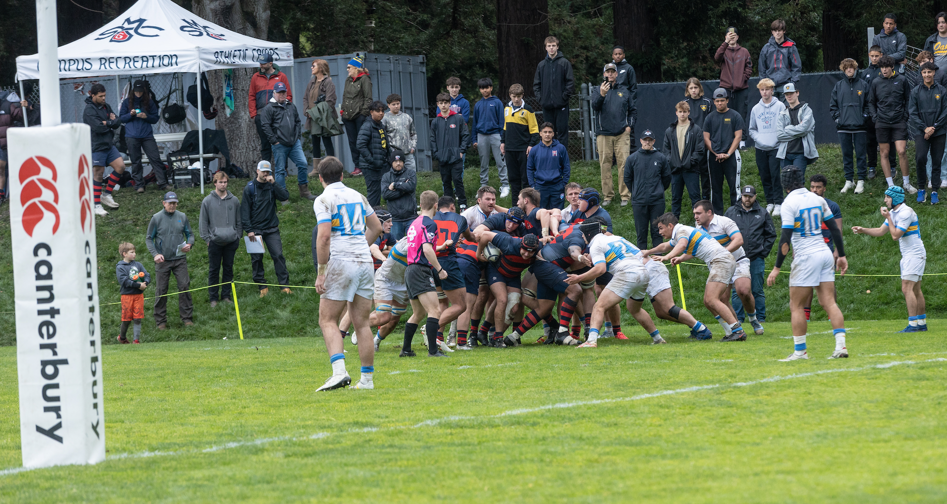 Men's Rugby v UCLA