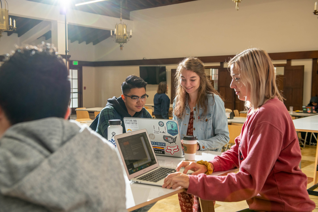 four students studying on laptops