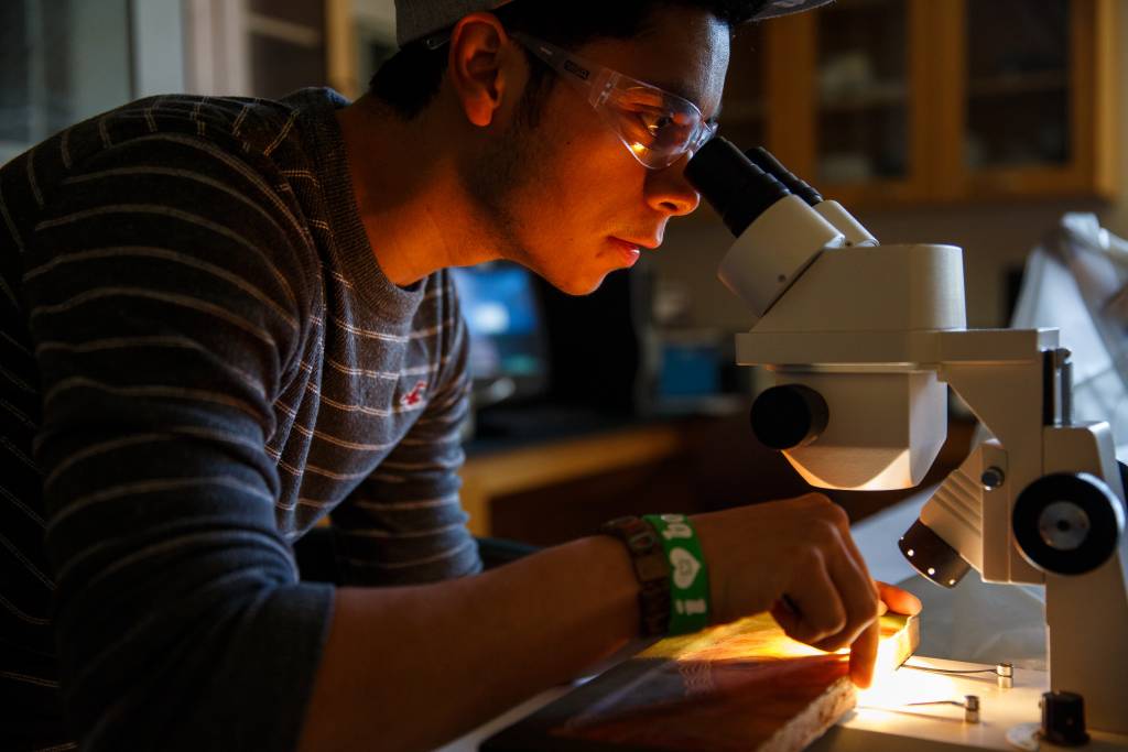 Master’s Degree in Biotechnology student looking through a microscope