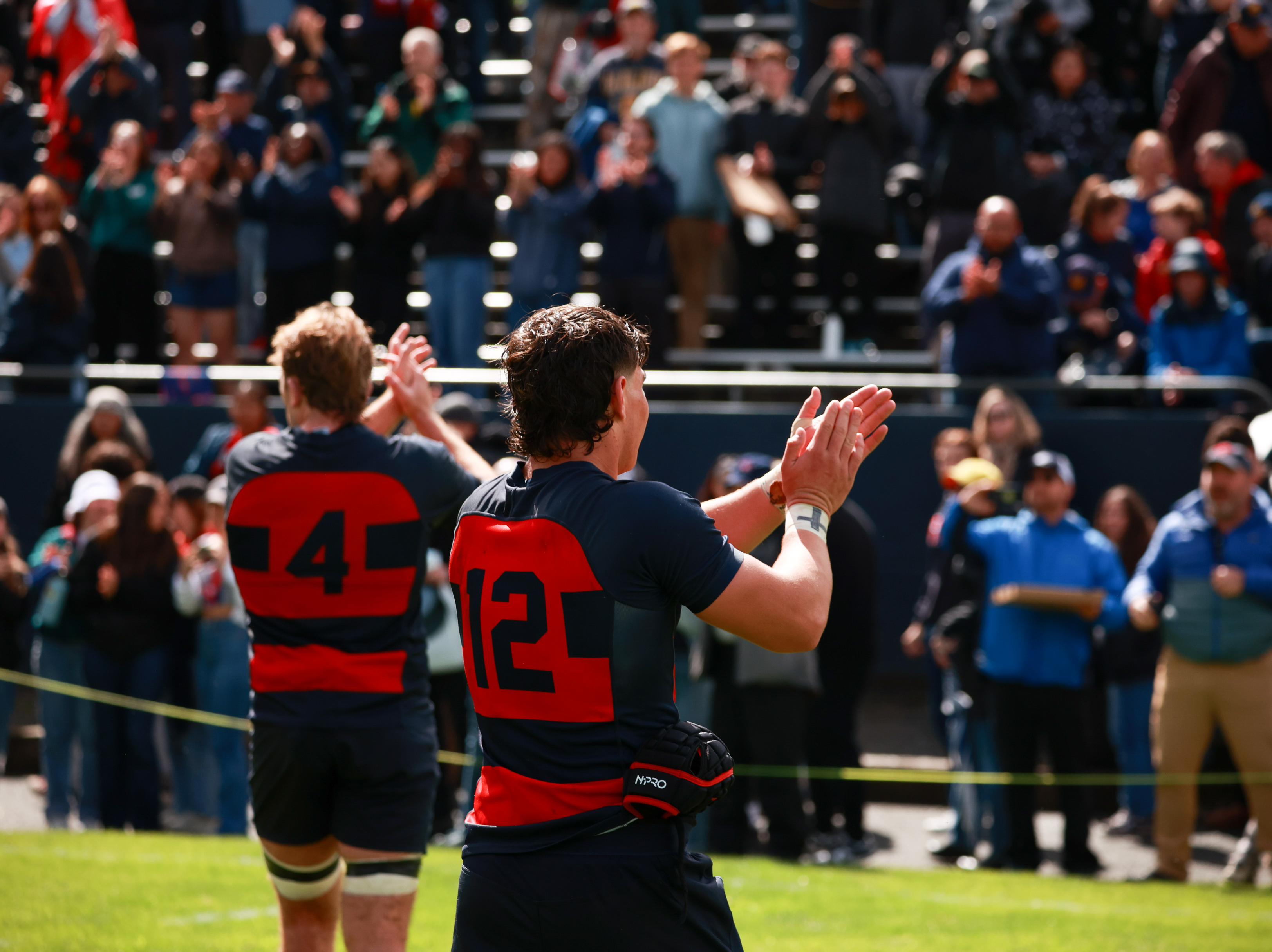 Men's rugby
