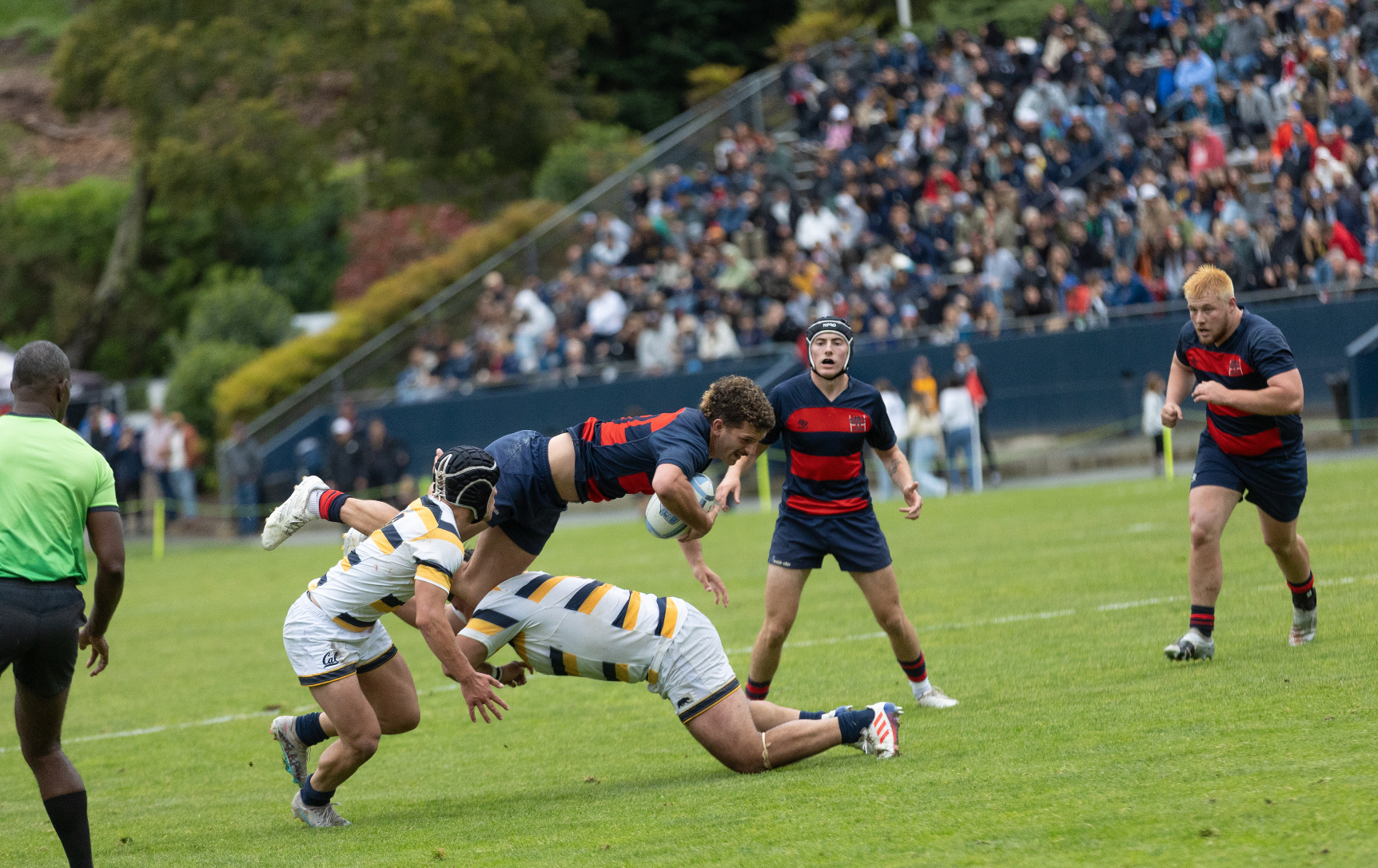 Men's Rugby