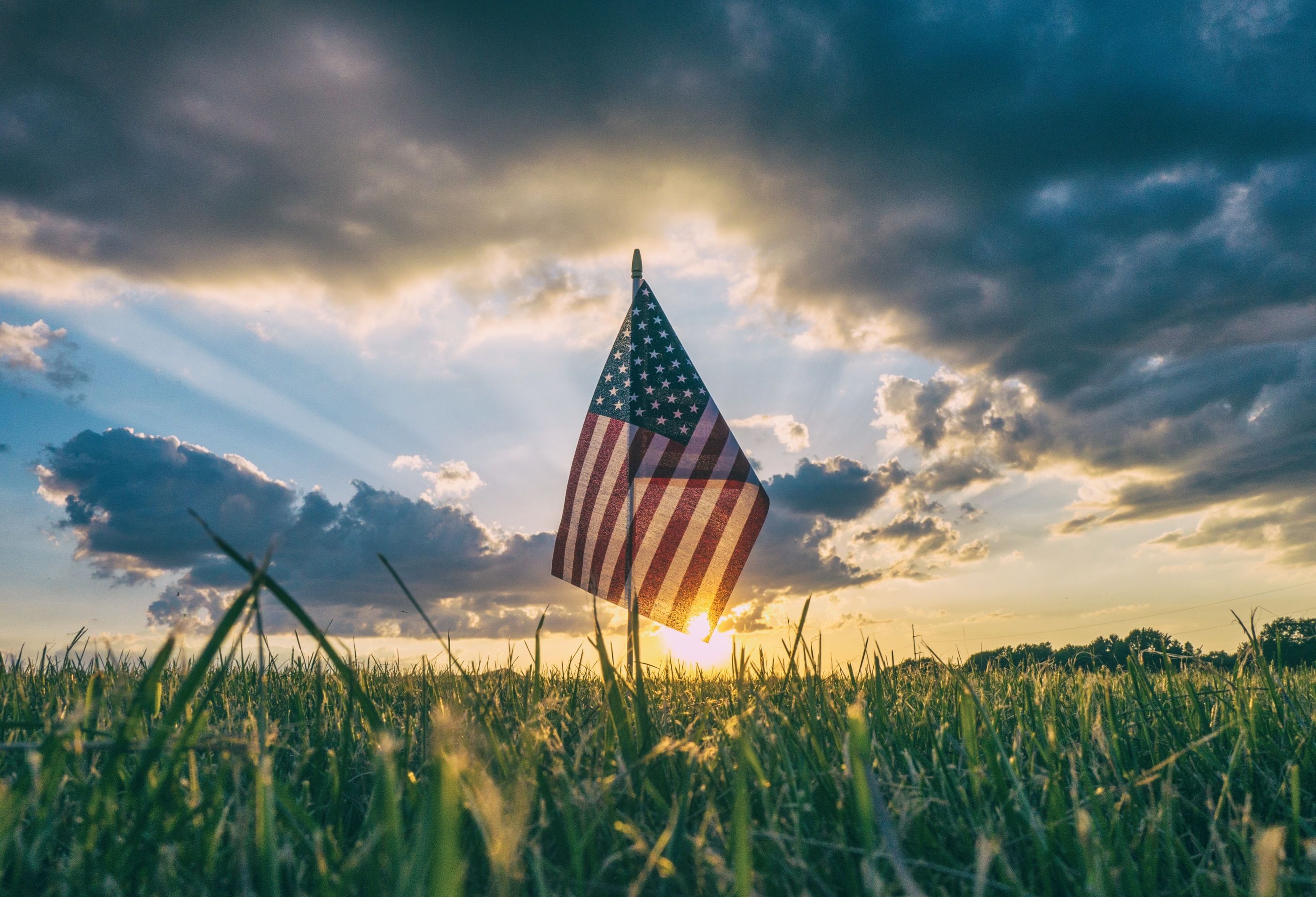 Flag in the grass