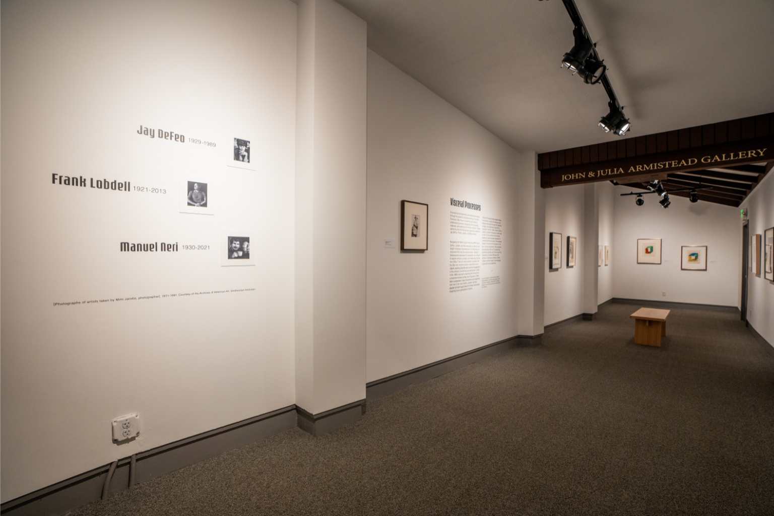 Gallery view of Visceral Processes