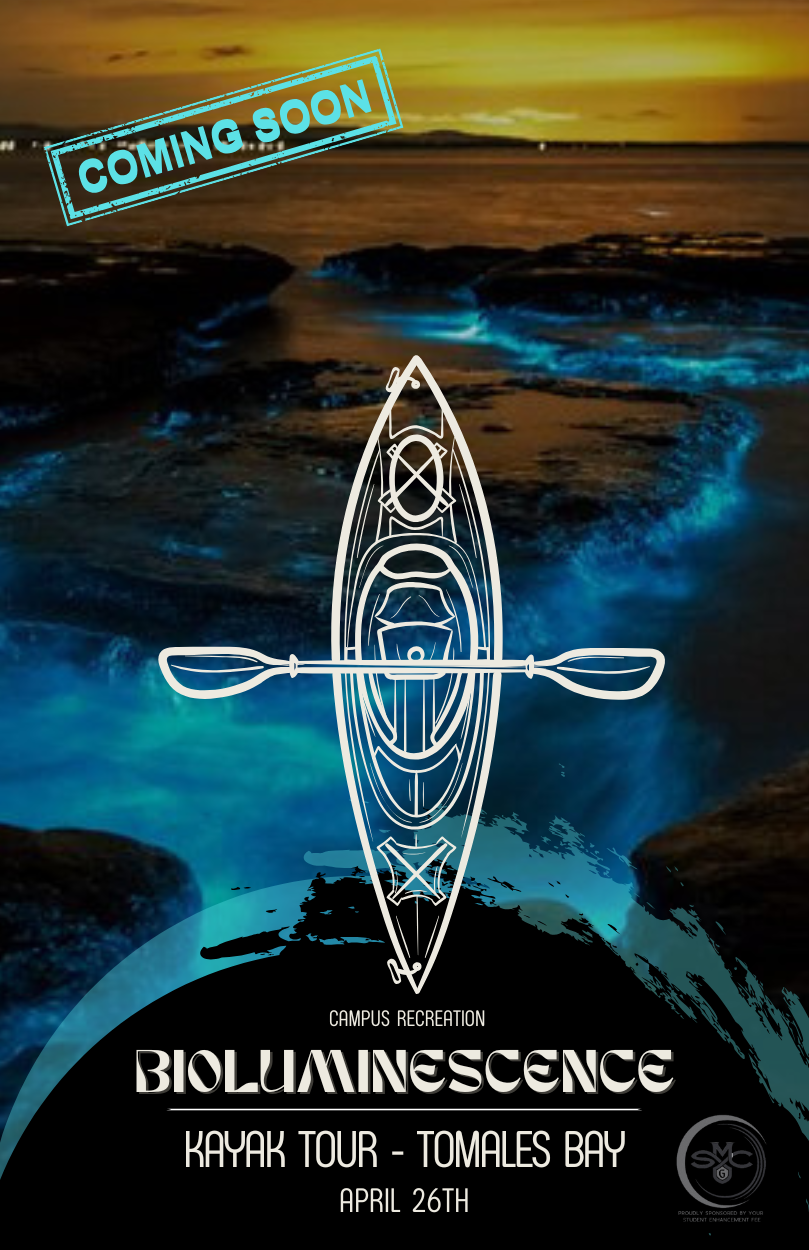 Bioluminescence Tour