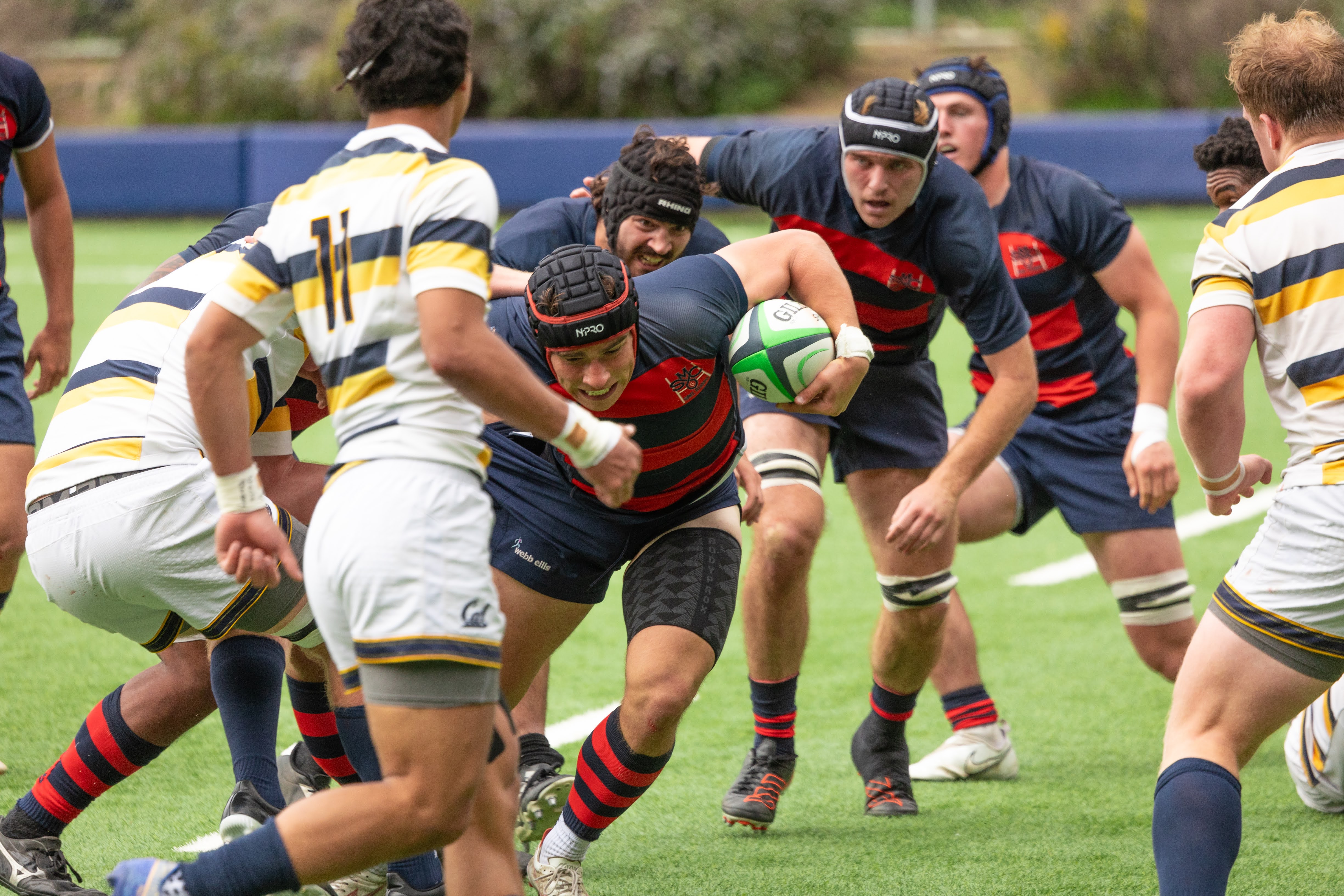 Men's Rugby