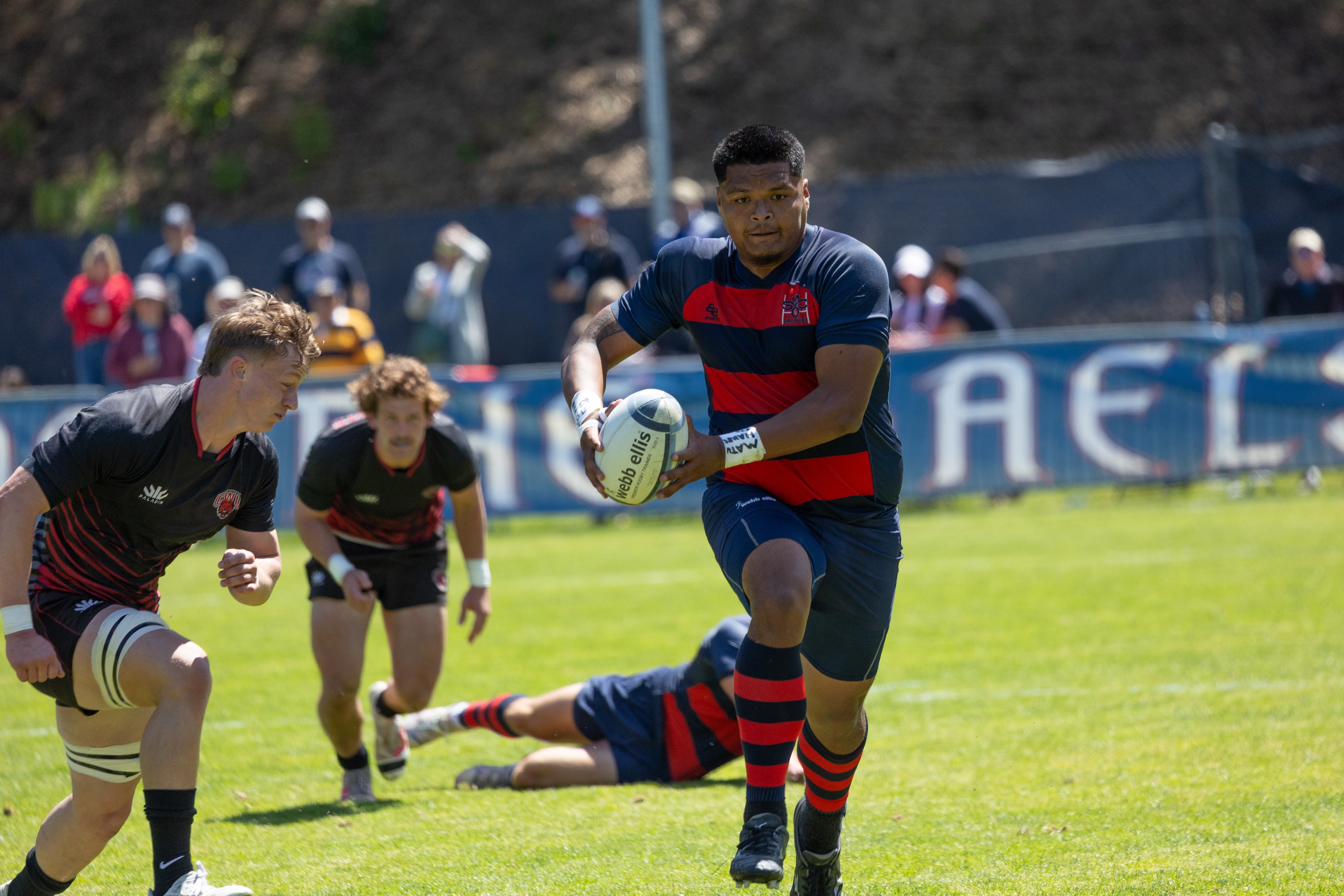 Men's Rugby