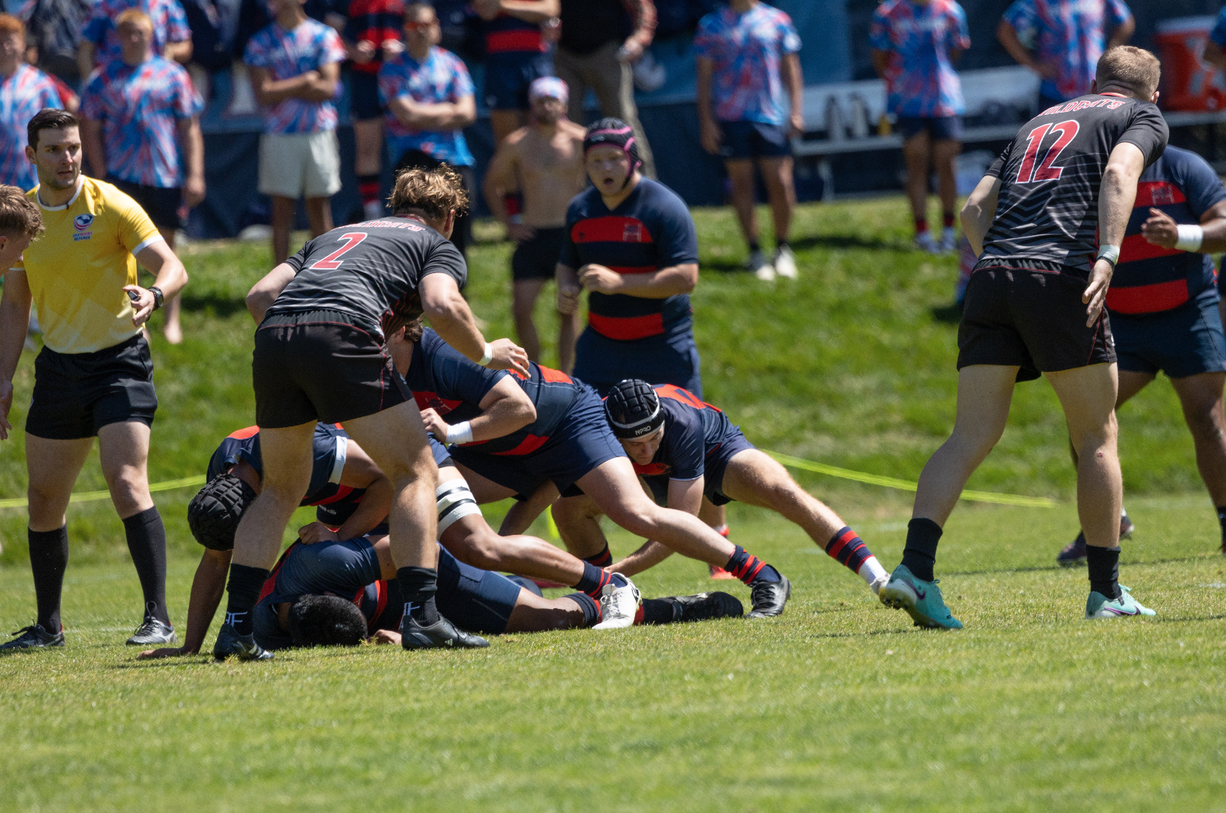 Men's Rugby
