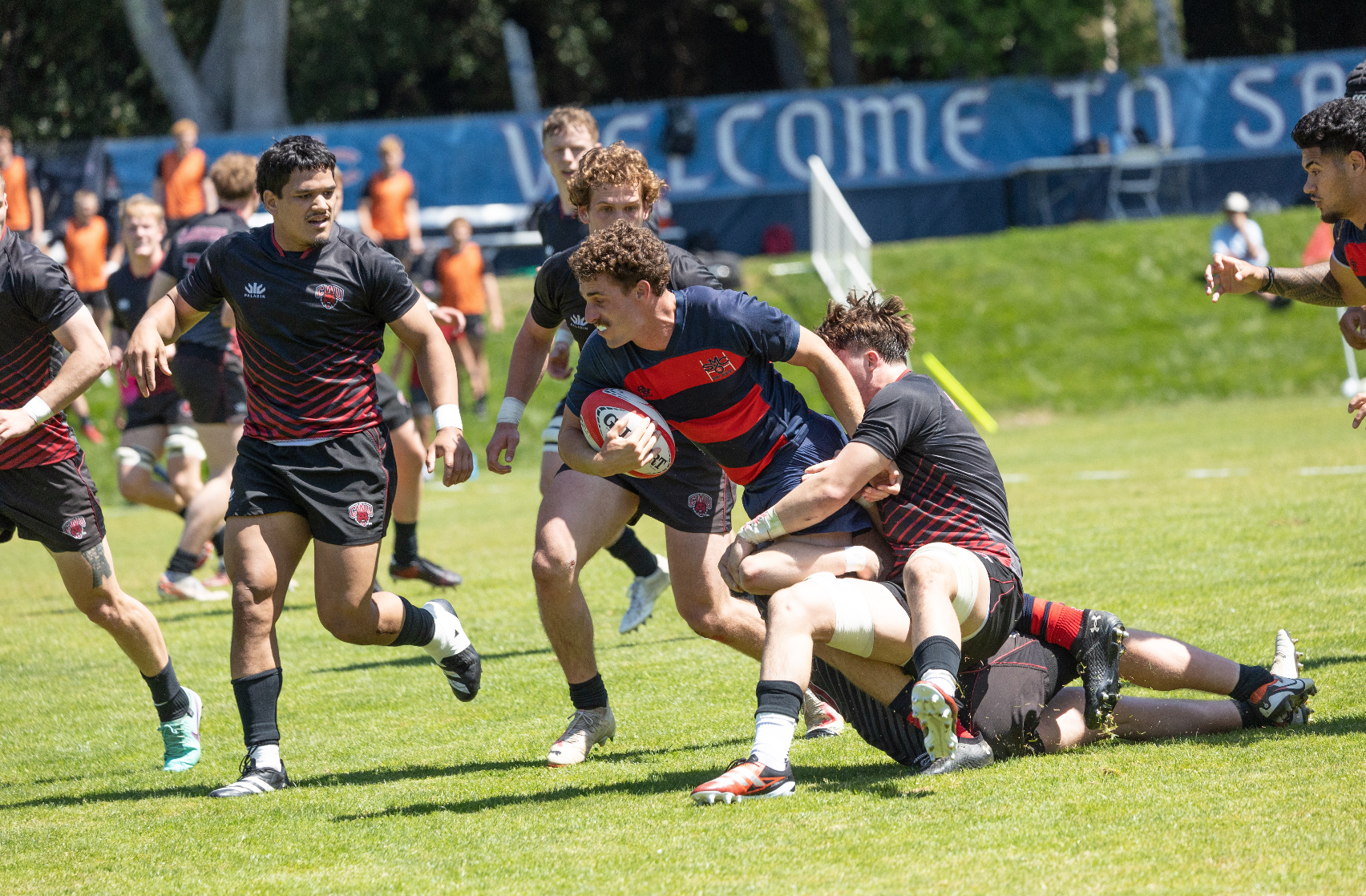Men's Rugby