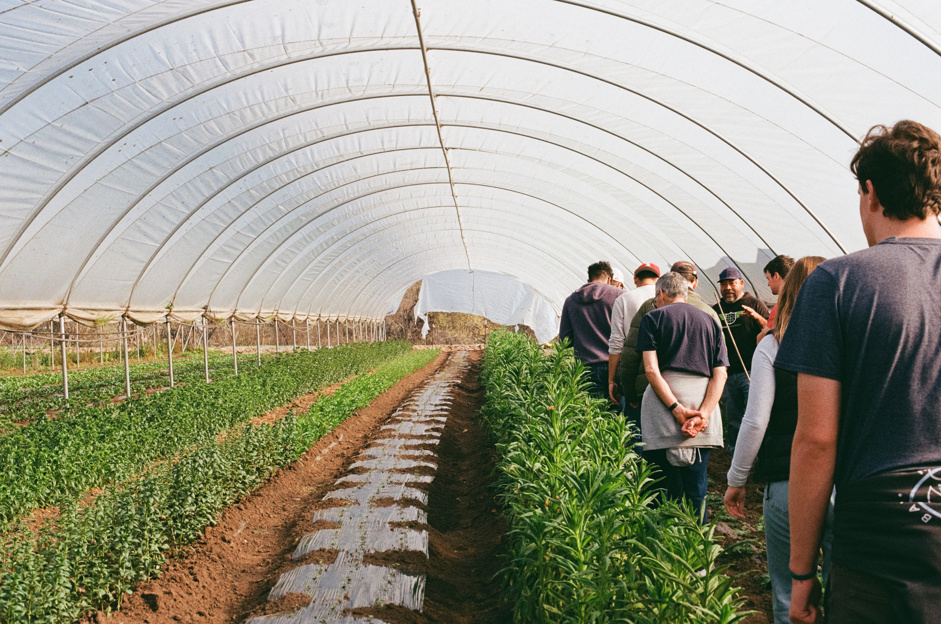 Photo of students talking to Javier Zamora at JSM Organics